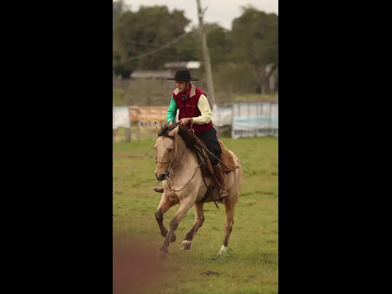 MVI_3894.MP4