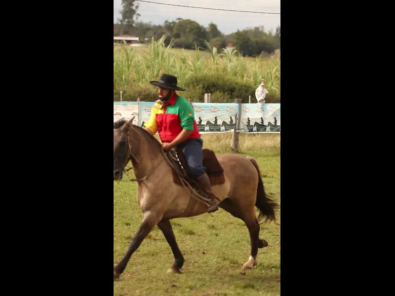 MVI_4025.MP4