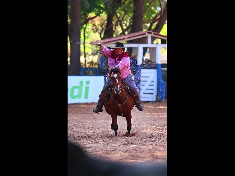 IMG_9397.MP4