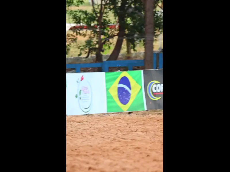 IMG_0480.MP4