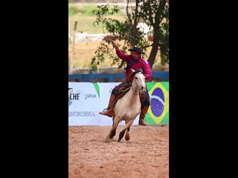 IMG_9719.MP4