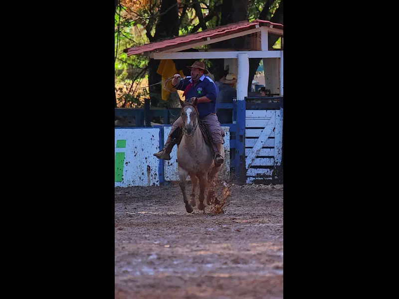 IMG_5085.MP4
