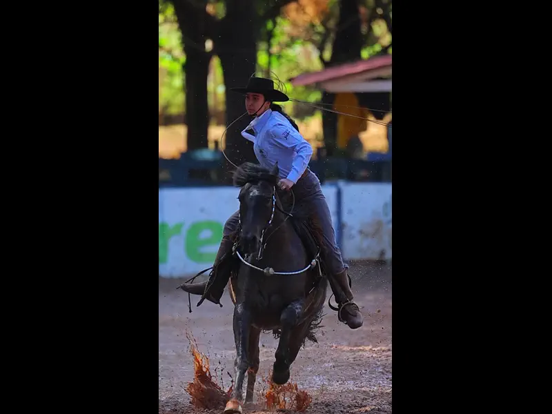 IMG_5100.MP4