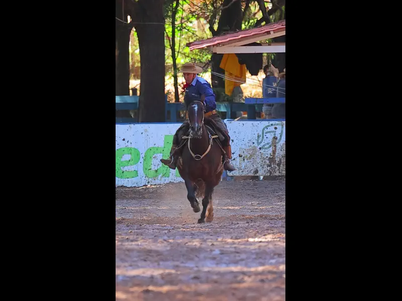 IMG_5122.MP4