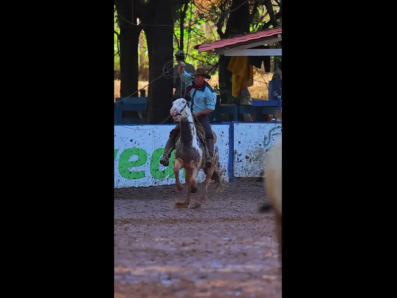 IMG_5129.MP4